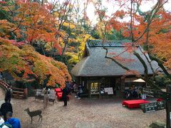 若草山のゲートを横目で見てさらに進む。
少し下ると、水谷神社の横にある水谷茶屋。

このあたりで、一休みしたいと思います。