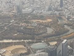 紀伊水道から大阪上空までが長かった～。 雲の下に出たら大阪城が見えて、ホッと一息。