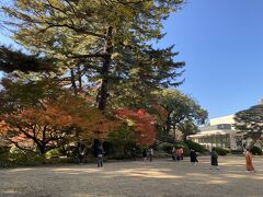 庭園は芝庭、日本庭園、西洋庭園に分かれています。
こちらは芝庭。