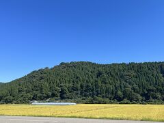 歴史館からは鳥越城がある山もしっかり見えましたが…