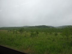 湿原の中を進みます。