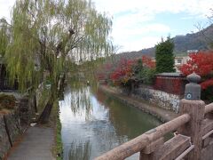 橋から見た八幡堀。水辺の柳と紅葉が印象的な風景です。