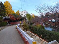 左側イチョウが長建寺