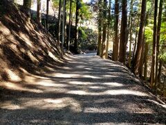 リフトの妙見山乗り場から登り道を歩いていきます