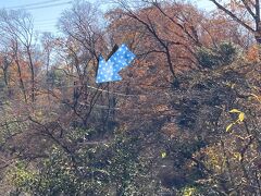 裏から動物園をチラ見するかたちになる