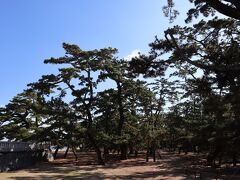 20分程車を走らせ県立琴林公園の津田の松原へ
国道11号の道駅津田の松原に車を置いて、歩いて数分です
日本の渚百選にも選ばれた、白砂と松林が美しいビーチ
