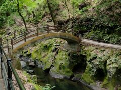 神社から徒歩で「天安河原宮」なるところへ向かいます。新緑の中気持ち良いお散歩でした。