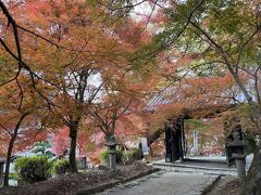 黒門
神社に上がる階段の方から