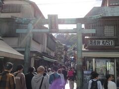 江島神社の玄関口「青銅の鳥居」で江島神社への参道は続きます。道幅は狭くなりますよ。