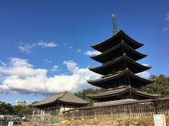 興福寺のほうに、下ってきました。
600年ほど前に再建された、国宝の五重塔と東金堂。
ともに国宝。
現在修復中です。