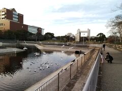 まずは白鳥公園。
かつての白鳥貯木場跡地に作られた公園です。