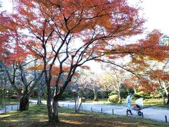 朝8時、開園直後の兼六園
朝の空気が清々しい