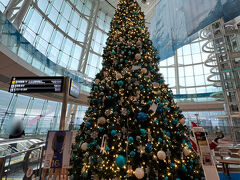 羽田空港第2ターミナルのクリスマスツリー