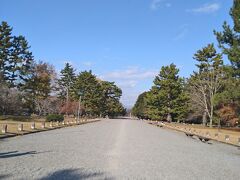 京都御所に到着。遠いし。ここから見学できるとこまで、まだまだ距離あります。