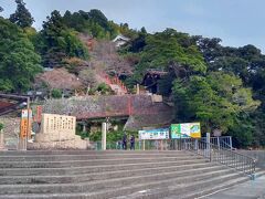 竹生島 上陸
カフェみたいなお店やお土産屋さんはありますが、住んでいる人はいないようです
階段を登っていくと、お寺と神社があるようです