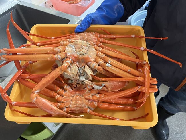 リメイク等に麻生地カニ、魚