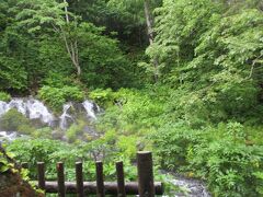 京極ふきだし公園
緑と水の風景