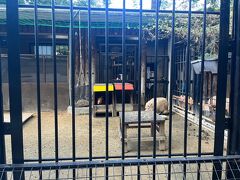 埼玉県大宮公園小動物園