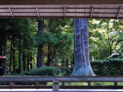 こちらが、よく紹介される白山神社の能舞台の
景色。舞台越しの大杉と杉並木が凛とした風景
を創っています。