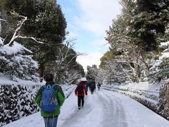 大雪の降った翌日の早朝の金閣寺の参道です。
やはり京都の雪景色と言えば金閣寺だろう、ということで真っ先に訪れました。
過去に何度も京都には訪れていますが、金閣は雪のイメージが強く、桜も紅葉もイメージできないので寄り付いていませんでした。

混雑を見越して開門よりもかなり早く着いたのですが、私と同じような考えの方も多かったようで、平日にも係らず大勢の方が開門を待っていました。
私自身は20番目くらいでしたね。