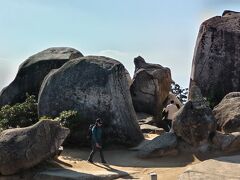 弥山って、厳島神社とともに弥山原生林が世界遺産に登録されているんですって。