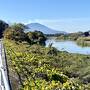 霧島市国分「天降川ふるさとの川河川公園 ウォーキングコース」