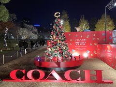 東京・六本木『東京ミッドタウン』「MIDTOWN CHRISTMAS 2023」

「COACH MIDTOWN ICE RINK」わきにあるクリスマスツリーの写真。