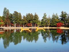 毛越寺浄土庭園