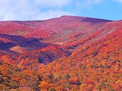 コチラが「神の絨毯」と称された栗駒山の紅葉
やや終わりかけでコレですから、紅葉全盛期の
御姿はかなりのモノと思われます！
