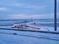 夜は、ホテルの部屋から雪を洗浄される飛行機たちを観察。