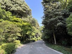 白鳥路。石川門と大手門を結ぶ歩行者道です。
