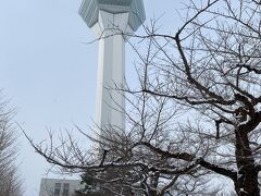 函館駅からバスで五稜郭タワーへ
このバスはSuicaが使えました。
歩道は雪が積もっていて、雪対応のブーツを履いていても
雪道に慣れていないので慎重に歩きました。