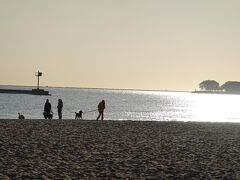 Oak Street Beach

ホテルの部屋から見えるビーチに来てみました