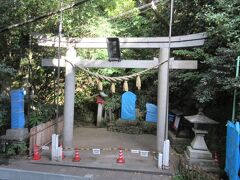 短い時間でしたが帰りにします。途中に「児玉神社」に立ち寄りましたが修復中のようで立入禁止で残念です。