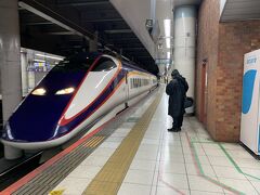 ツアーは東京駅集合ですが、上野駅から乗車にしてもらいました。
上野駅の新幹線ホームは地下。
同じホームに、さまざまな場所に行く新幹線が、数分違いで入線してきます。
間違えて乗らないように、ドキドキです～