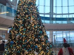羽田空港　第2ターミナルです
今年のクリスマスツリー

ANA89便石垣行利用