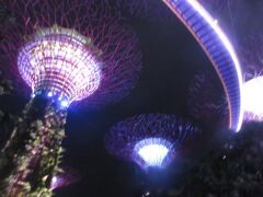 ステキなファンタジーの世界を見ることが出来ました。この続きは次のVol.６で書いています。
～旅は続く～