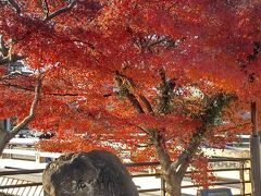 花の回廊完成記念碑の前、いい感じで赤くなってます。皆さんの撮影スポットになってました。