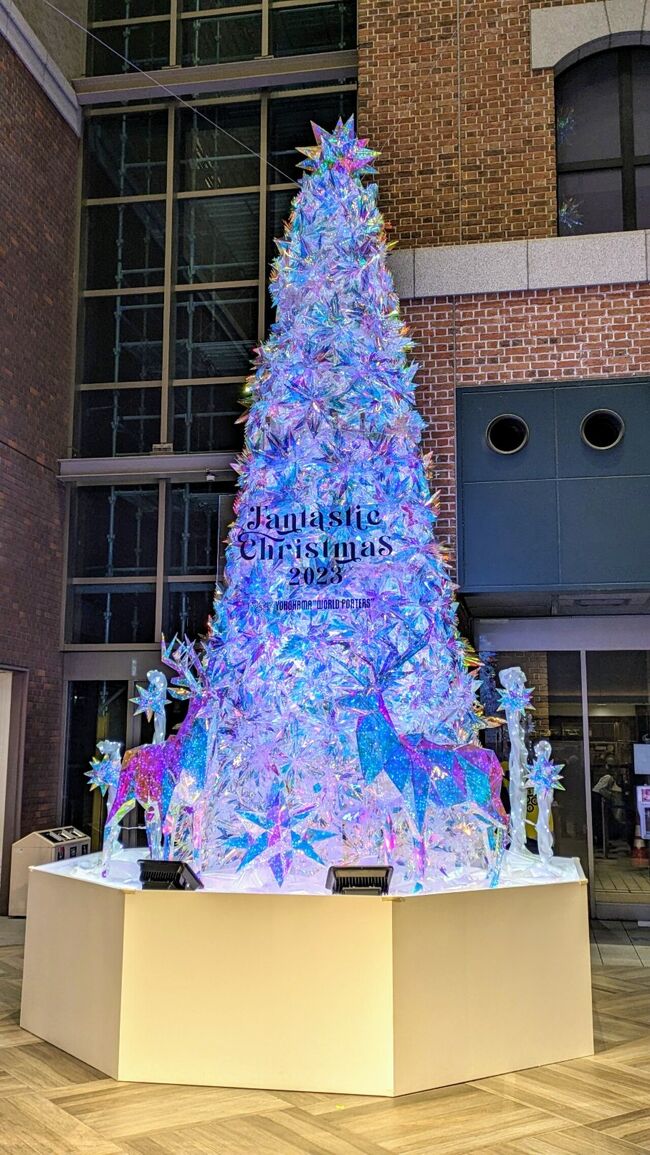 2023年横浜でクリスマスツリー巡り🎄。』横浜(神奈川県)の旅行記 2023年横浜でクリスマスツリー巡り🎄。』横浜(神奈川県)の旅行記