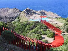 萩に向かい途中で以前写真で見て気になっていた神社に立ち寄ります。鳥居が延々と並ぶ光景が圧巻です。
残念ながら工事中でブルーシートが広がってましたが・・