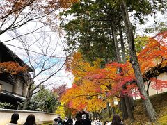 １＜東福寺　参道１＞
　ＪＲ東福寺駅で下車し参道へ。京都で一二を争う紅葉の名所だけあって多くの人が訪れていました。