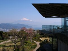 日本平夢テラスからの富士山