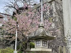 醒井宿　加茂神社
米原市醒井58
