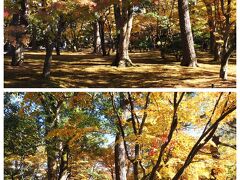 暑いくらいに気温があがったこの日
アートのあとは再び自然に触れようと兼六園へ