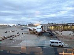 定刻で羽田空港T3に到着。

このあと半年ぶりに日本の自宅へ！
