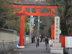 でも、思ったようなスポットは見つからず、向こうに下賀茂神社の一の鳥居が見えただけでした。お昼の時間が迫っているので駅の方に引き返しました。