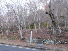 日塩もみじライン（栃木県日光市・那須塩原市）
雪は降っていないものの、寒くて、カエデ科の木々がまるで白樺のようです。
