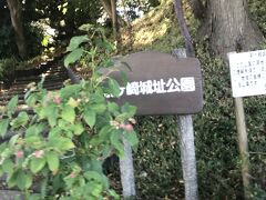 前ヶ崎城址公園にやって参りました。