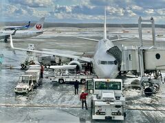 10:55 新千歳空港発 の JAL3510便で 福岡へ。機材はB737。