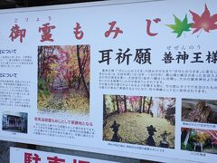 有名な紅葉スポットの御霊もみじ（八坂神社）に来ました